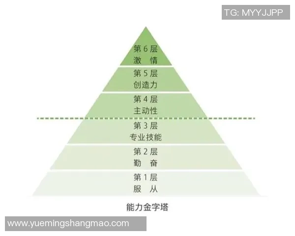 成都与杭州乒乓球队赛后复盘团队协作的成功与不足分析
