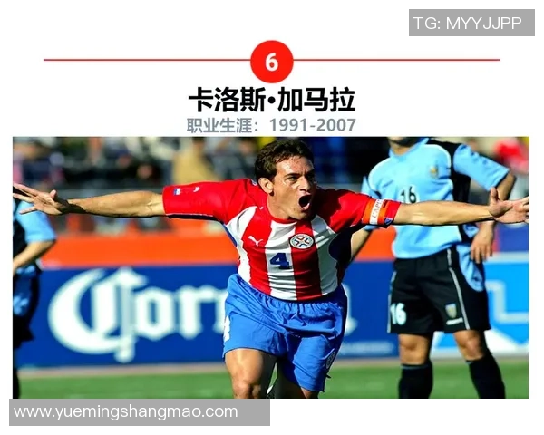 足球明星风采尽显球场传奇背后的故事与荣耀 足球明星风采尽显球场传奇背后的故事与荣耀