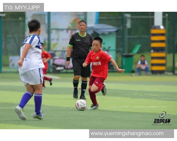 足球明星家庭男孩比例高揭秘背后的原因与影响分析