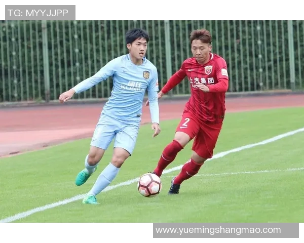 南京篮球队实力飙升创历史新高引发球迷热议与期待