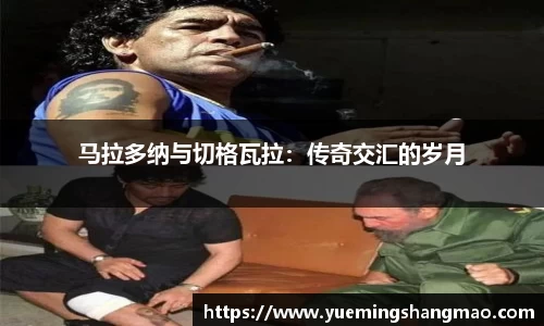 半岛·体育