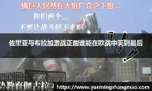 半岛·体育官方网站