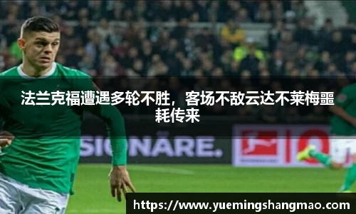半岛·体育