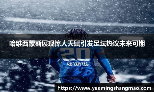 半岛·体育官网登陆入口