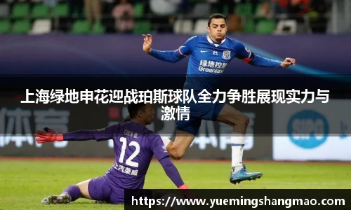 半岛·体育官方网站