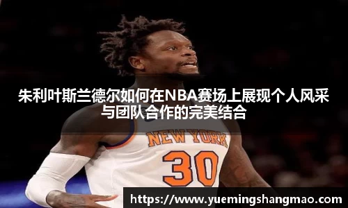 半岛·体育官网登陆入口