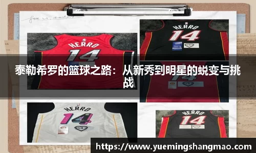 半岛·体育官方网站