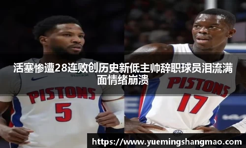 半岛·体育中国官方网站平台登陆