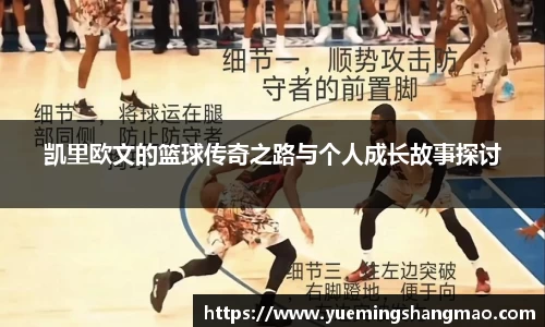 半岛·体育官网登陆入口
