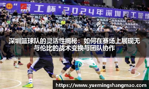 半岛·体育官方网站