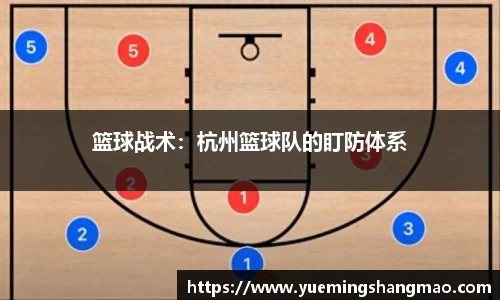 半岛·体育官网登陆入口