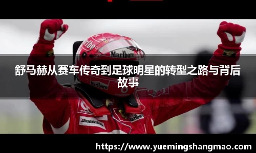 半岛·体育中国官方网站平台登陆