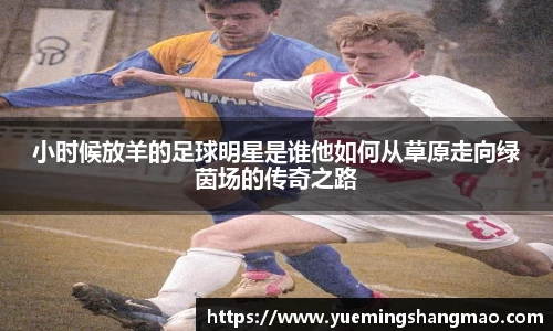 半岛·体育官方网站